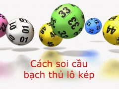bạch thủ lô kép