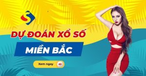 Dự đoán xổ số 20/12
